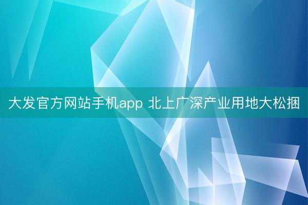 大发官方网站手机app 北上广深产业用地大松捆