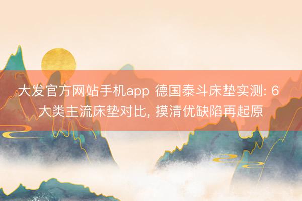 大发官方网站手机app 德国泰斗床垫实测: 6 大类主流床垫对比， 摸清优缺陷再起原