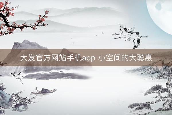 大发官方网站手机app 小空间的大聪惠