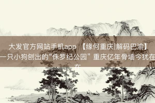大发官方网站手机app 【缘何重庆∣解码巴渝】一只小狗刨出的“侏罗纪公园” 重庆亿年骨墙今犹在