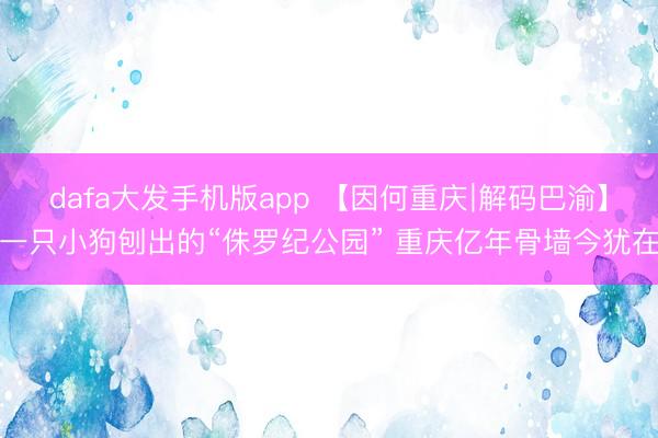 dafa大发手机版app 【因何重庆∣解码巴渝】一只小狗刨出的“侏罗纪公园” 重庆亿年骨墙今犹在