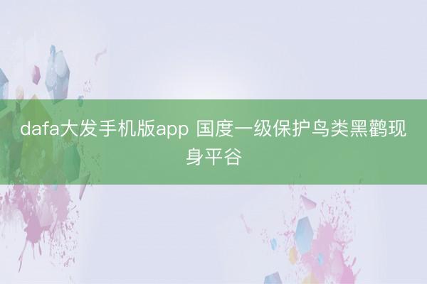 dafa大发手机版app 国度一级保护鸟类黑鹳现身平谷