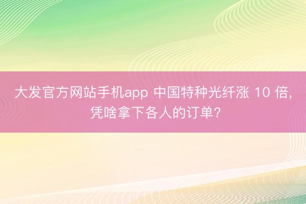 大发官方网站手机app 中国特种光纤涨 10 倍， 凭啥拿下各人的订单?