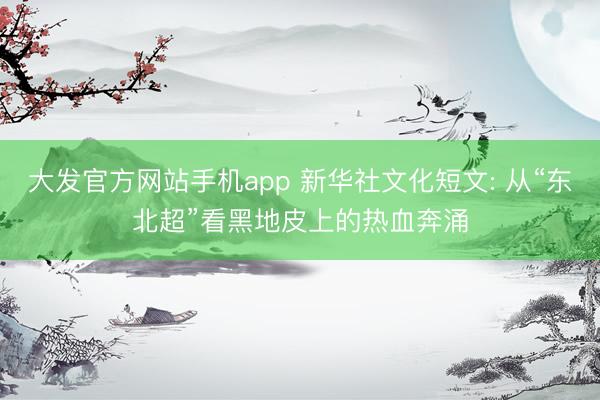 大发官方网站手机app 新华社文化短文: 从“东北超”看黑地皮上的热血奔涌